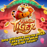 fortune tiger